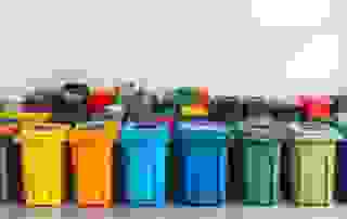 bin colours and signs