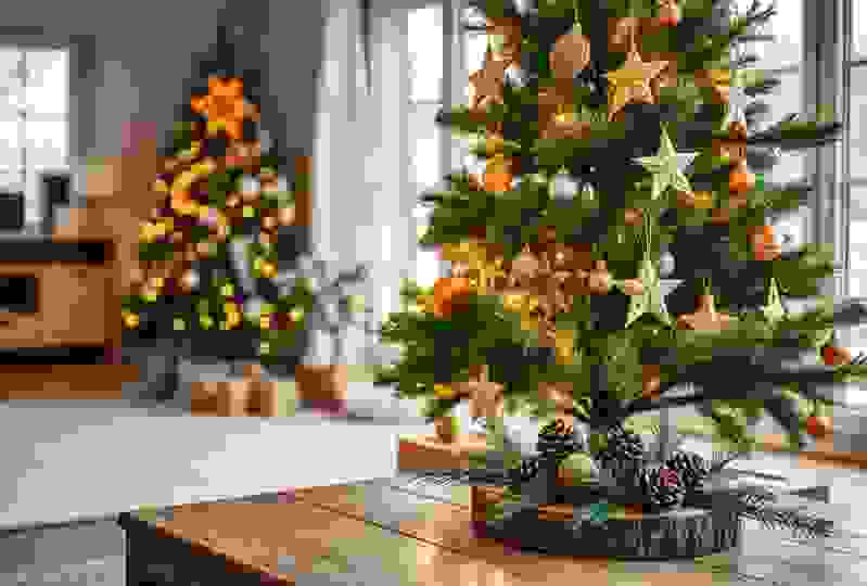 christmas tree christmas tree